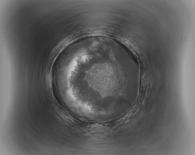 X0000116630290200912181330