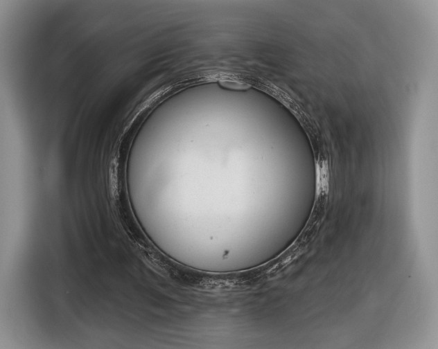 X0000116630291200912181330