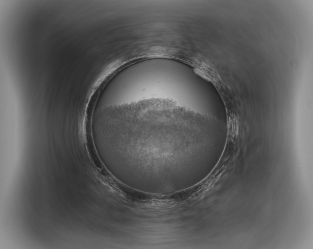 X0000116630292200912181330