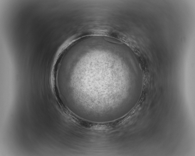 X0000116630294200912181330