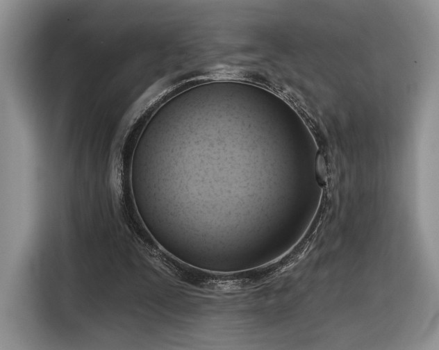 X0000116630295200912181330