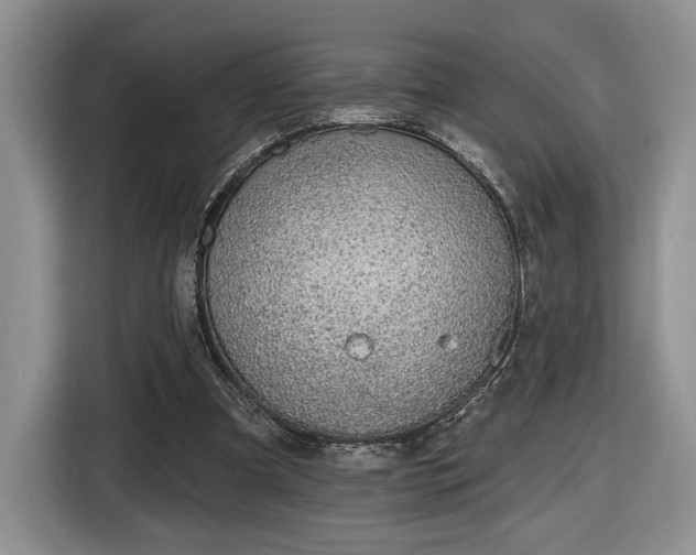 X0000116630297200912181330