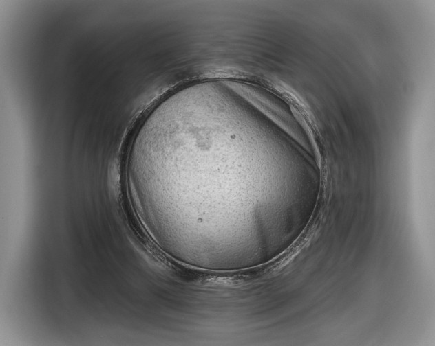 X0000116630298200912181330