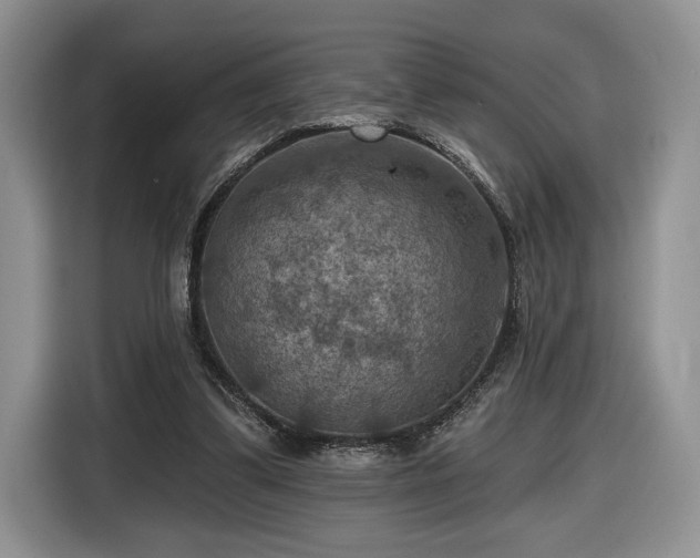 X0000116630299200912181330