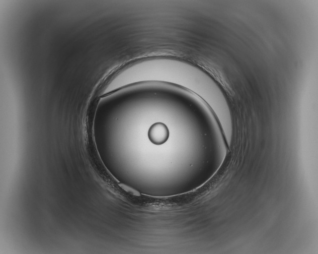 X0000116630300200912181330