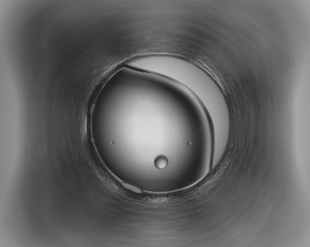 X0000116630301200912181330