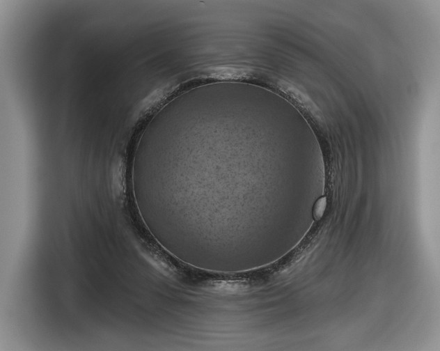 X0000116630303200912181330