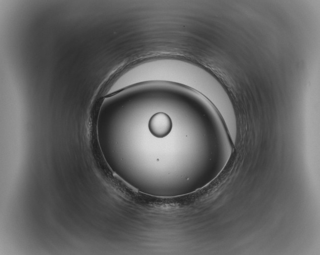 X0000116630304200912181330