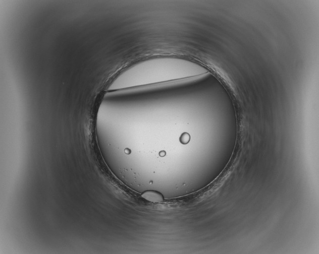 X0000116630305200912181330