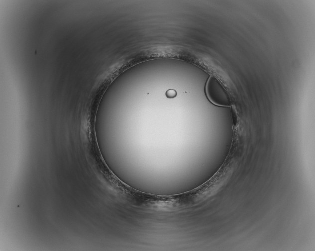 X0000116630306200912181330