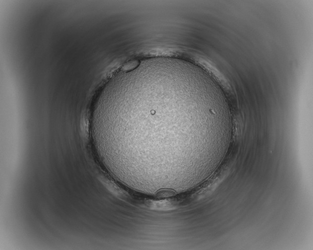 X0000116630309200912181330