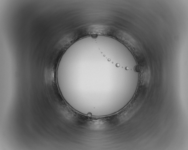 X0000116630310200912181330