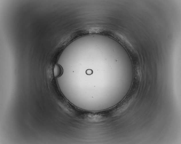 X0000116630311200912181330