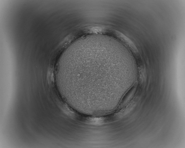 X0000116630313200912181330