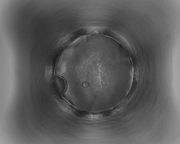 X0000116630314200912181330