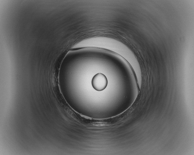 X0000116630316200912181330