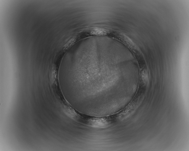 X0000116630322200912181330