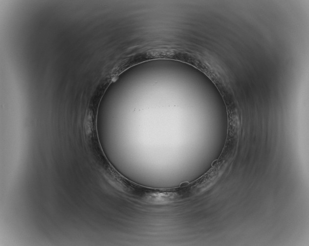 X0000116630323200912181330