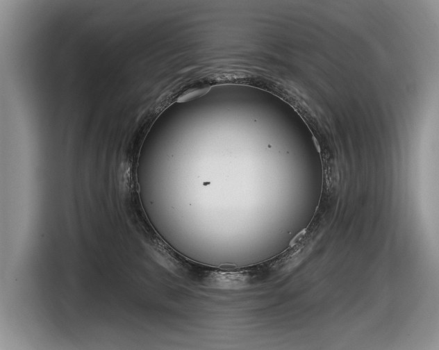 X0000116630327200912181330