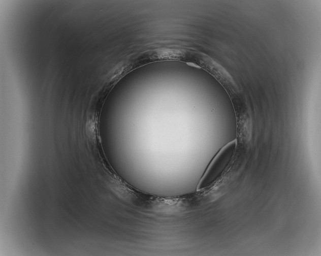 X0000116630329200912181330