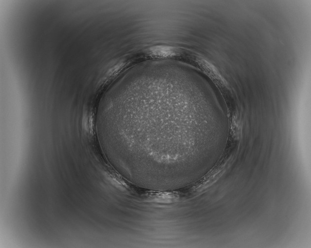 X0000116630330200912181330