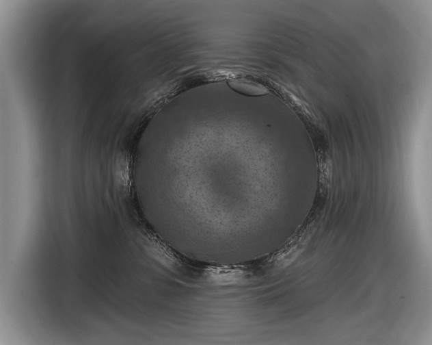 X0000116630331200912181330