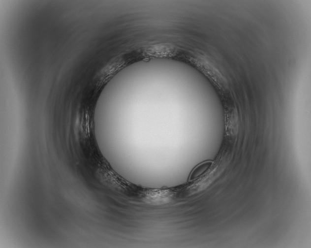 X0000116630334200912181330