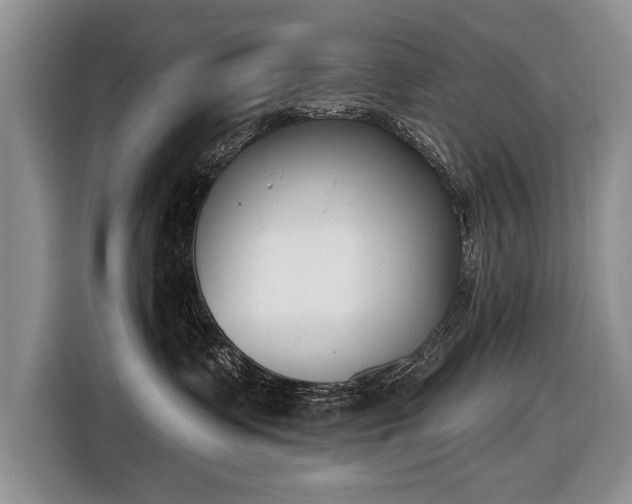 X0000116630335200912181330