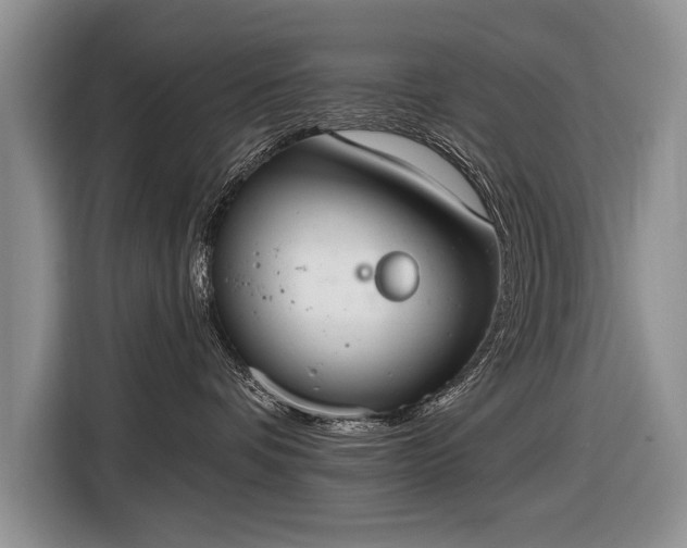 X0000116630336200912181330