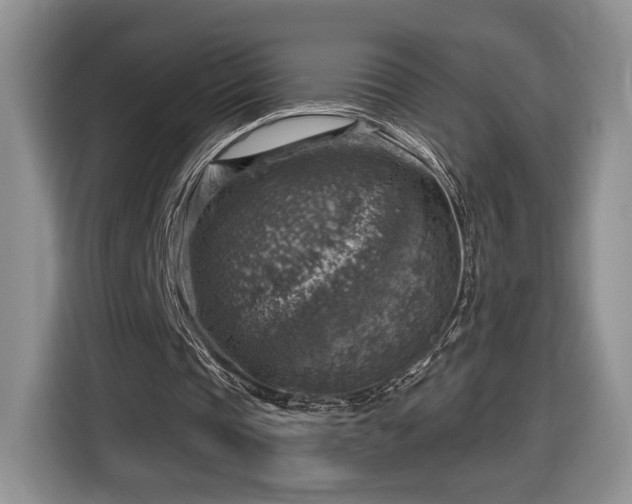 X0000116630337200912181329