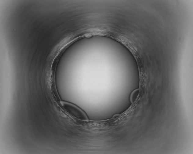 X0000116630338200912181329