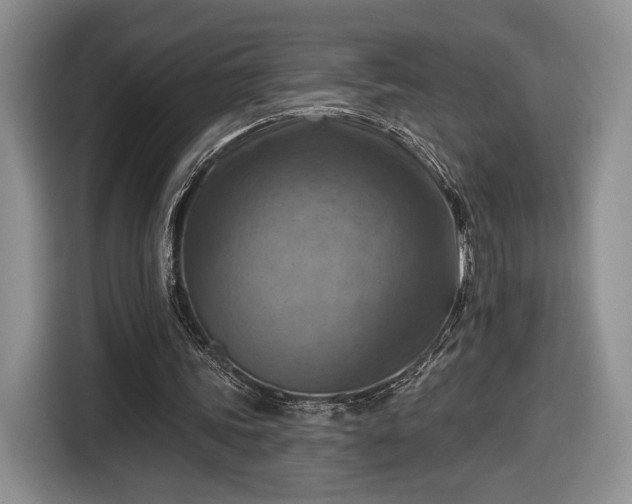 X0000116630339200912181329