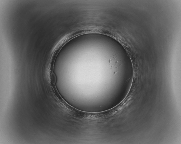 X0000116630341200912181329