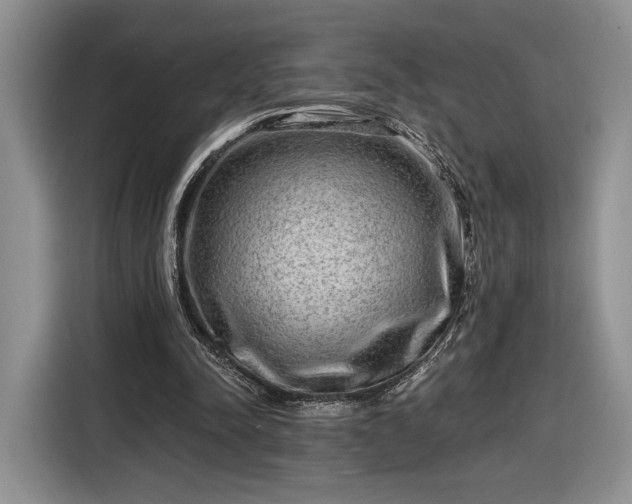 X0000116630342200912181329