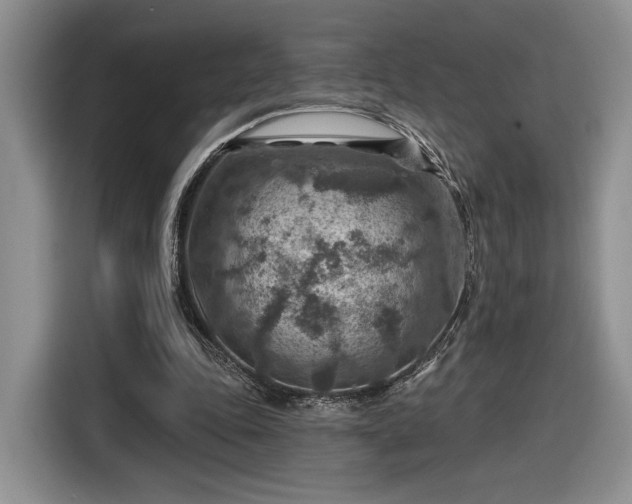 X0000116630343200912181329