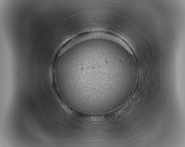 X0000116630345200912181329