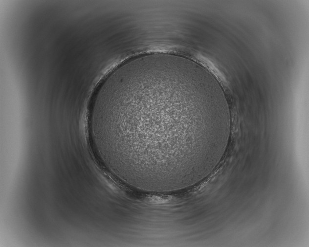 X0000116630346200912181329