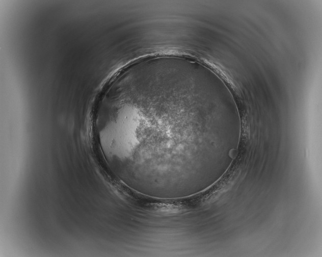 X0000116630347200912181329