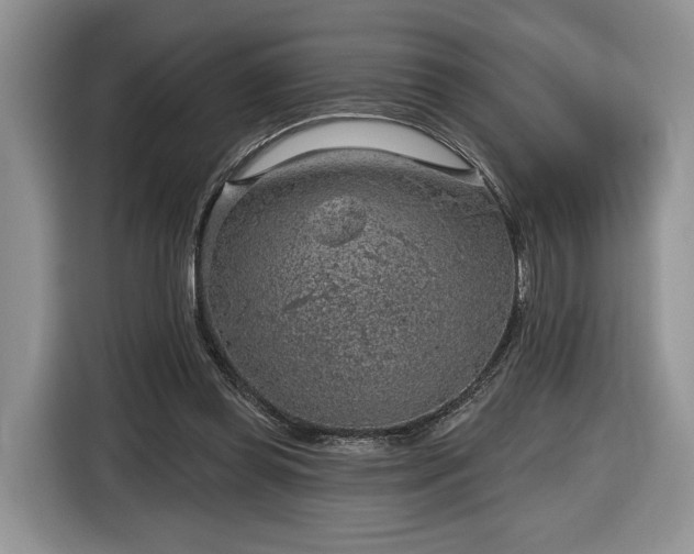 X0000116630349200912181329