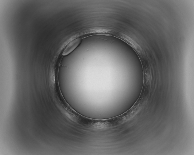 X0000116630350200912181329