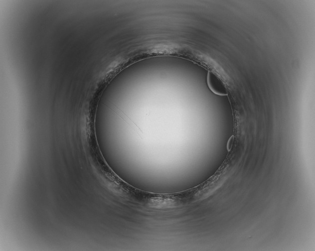 X0000116630354200912181329