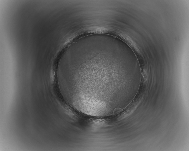 X0000116630355200912181329