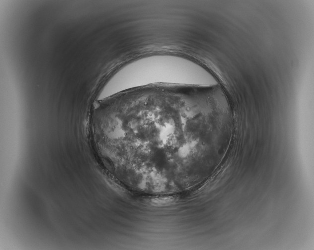 X0000116630357200912181329