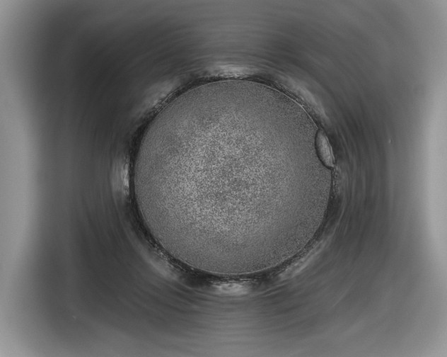 X0000116630358200912181329