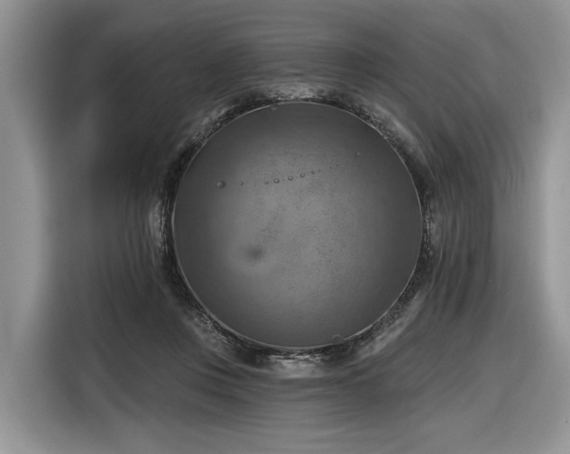 X0000116630359200912181329