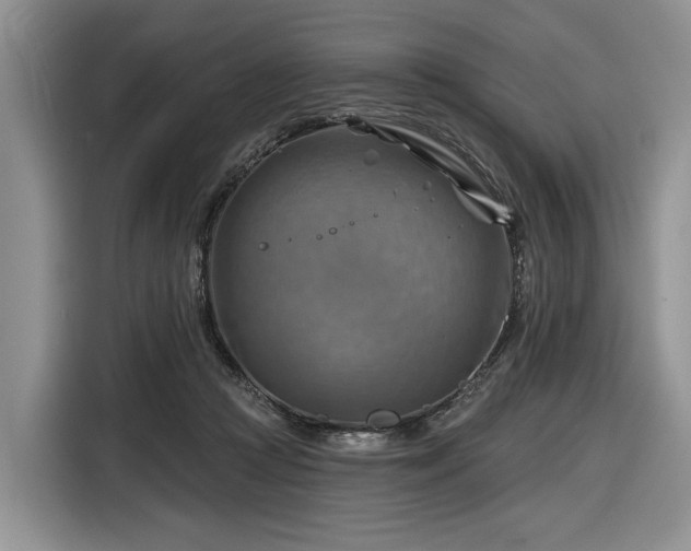 X0000116630361200912181329