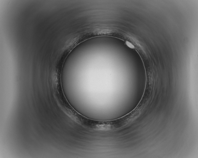 X0000116630362200912181329