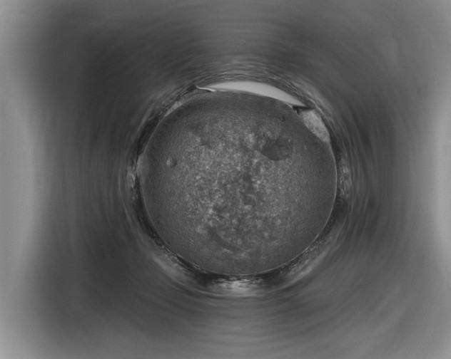 X0000116630365200912181329