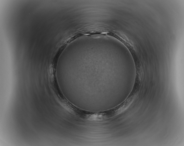 X0000116630366200912181329