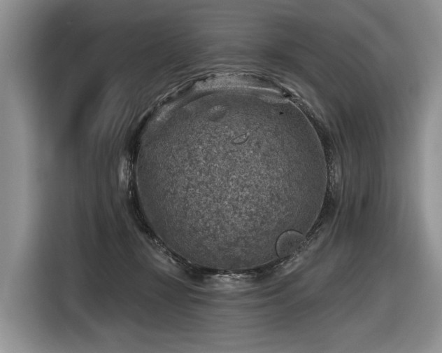 X0000116630367200912181330